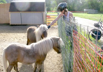 Terry and some miniature horses.